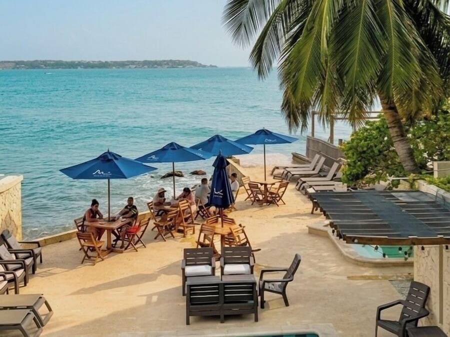 A beachside patio with lounge chairs and umbrellas, overlooking the sea.