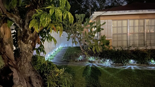 A well-maintained garden with a tree, a pathway, and a building with large windows. - Private bedroom w/AC & Heating + Bathroom (Tampa)