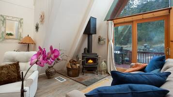 Smart TV, fireplace, books