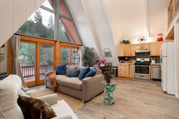 Smart TV, fireplace, books