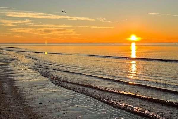 Plage à proximité, chaises longues