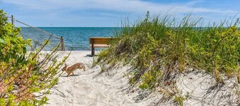 Beautiful Home Walk to Water Dogs Welcome!