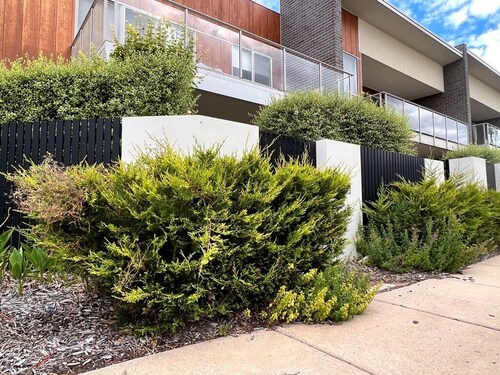 Pet friendly-Leafy Ground Floor Studio -Secure Courtyard, quiet neighbourhood