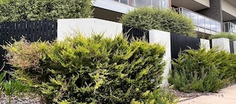 Pet friendly-Leafy Ground Floor Studio -Secure Courtyard, quiet neighbourhood