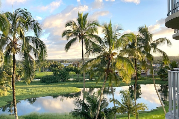 Kūlani — Paradise from the lanai