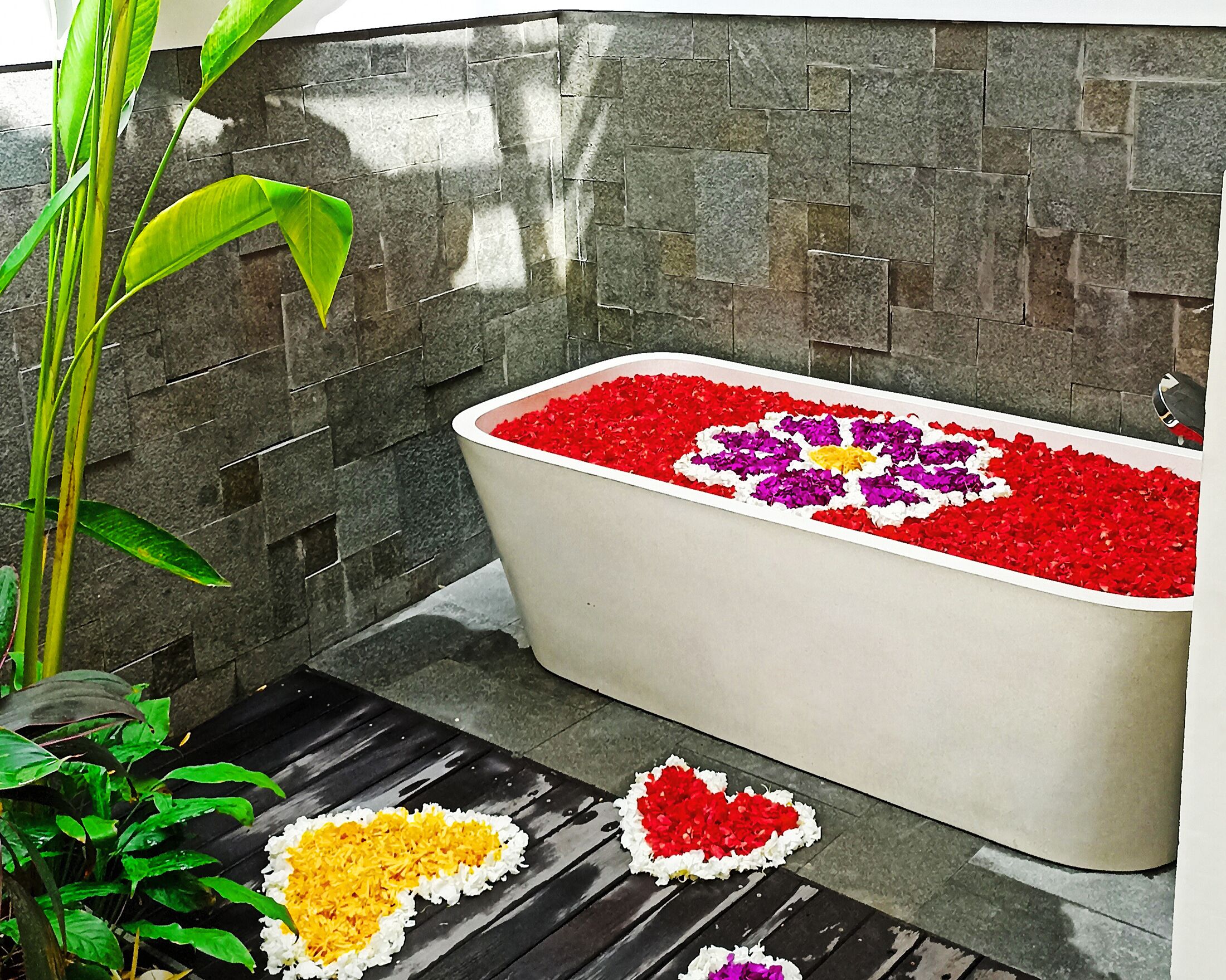 A bathtub with a floral design on the floor, a potted plant, and a stone wall.