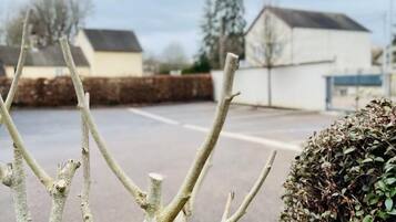 A parking area with bare tree branches and a hedge.