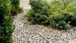 Uklassifisert bilde, 5 av 37, knapp