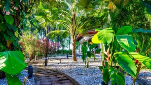 A paved pathway surrounded by lush tropical vegetation, including large green leaves and palm trees.