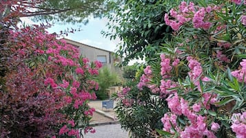 Een grindpad dat leidt naar een gebouw met uitzicht op een tuin met roze bloeiende struiken.