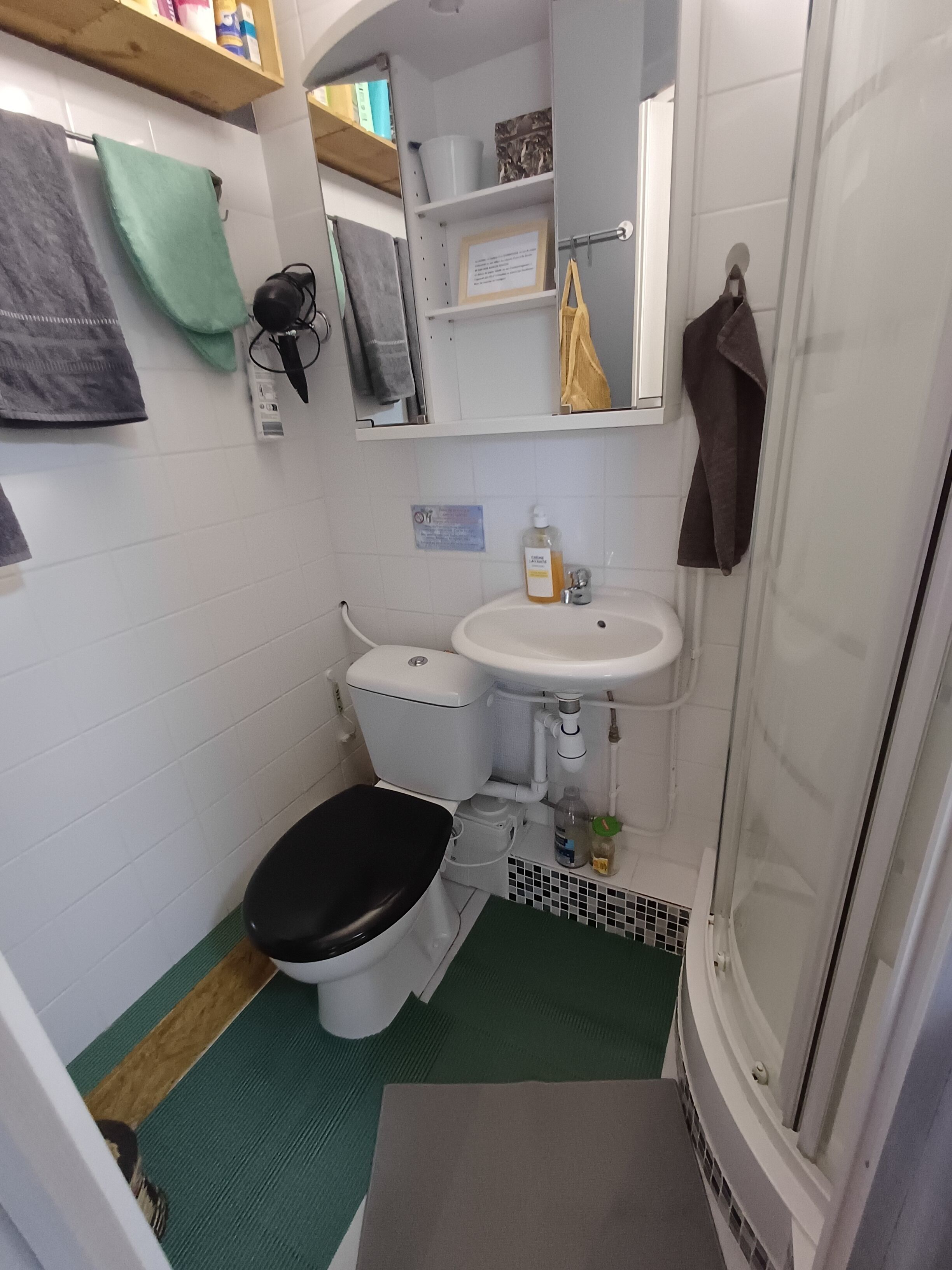Et lille badeværelse med toilet, håndvask og bruser.
