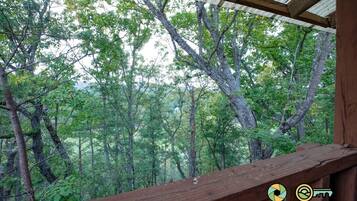A wooden deck with a view of a dense forest.