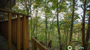 A wooden deck overlooking a forested area.