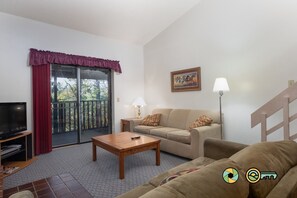 TV, fireplace, DVD player