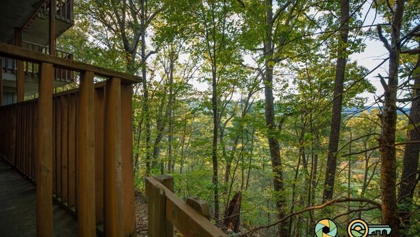 Une terrasse en bois donnant sur une zone boisée.