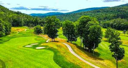 Well-appointed studio right downtown - less than a mile to Okemo Mountain