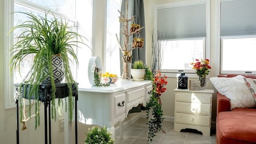 Comfy Escape with Lake Chapin views!