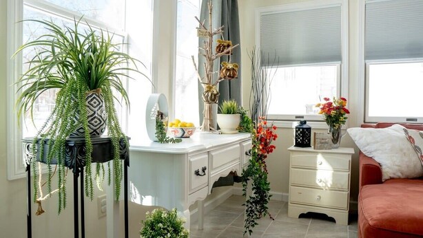 A well-lit room with a white desk, a red sofa, and various plants.