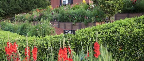 Enceinte de l’hébergement