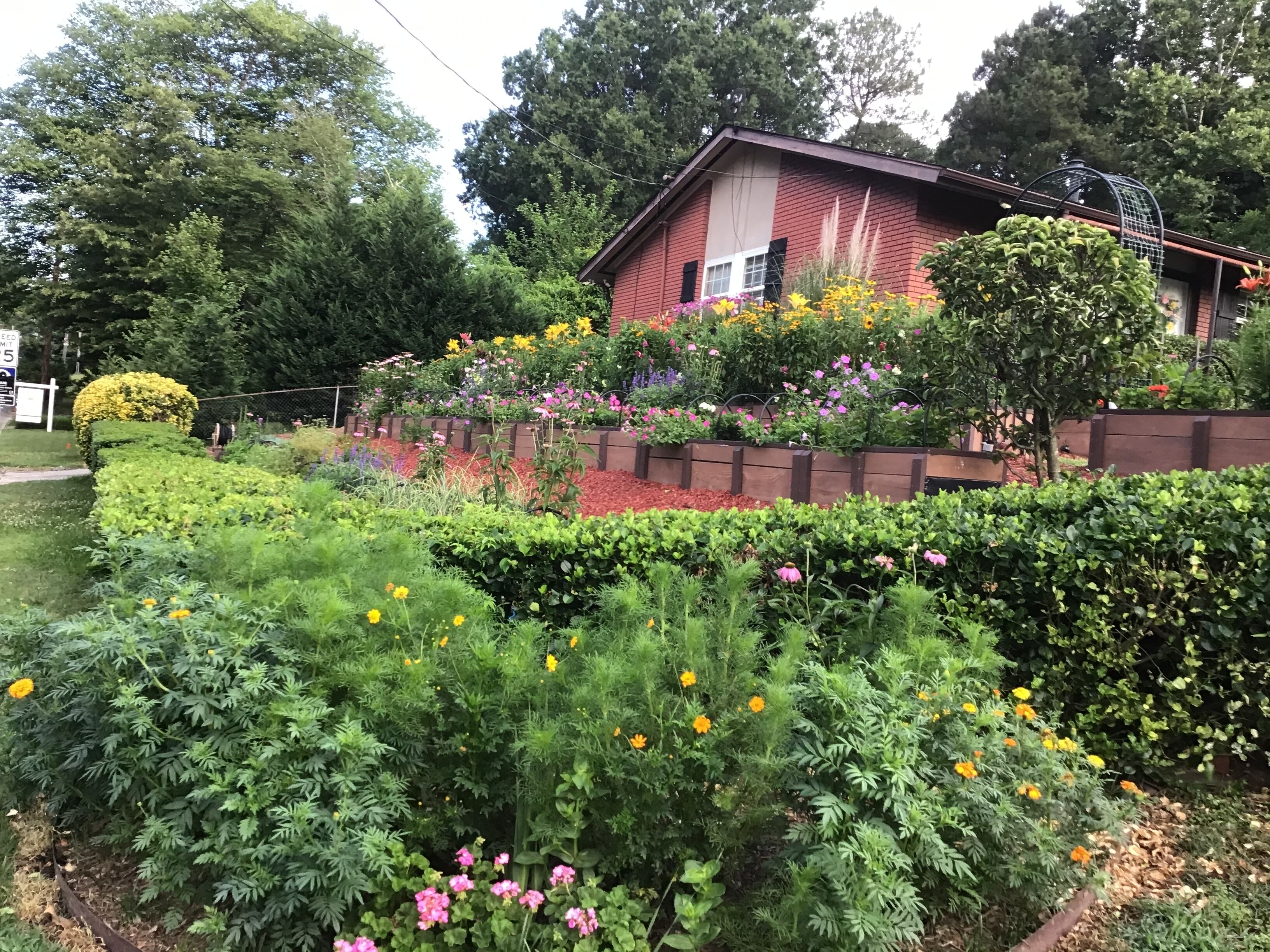 Terrein van de accommodatie