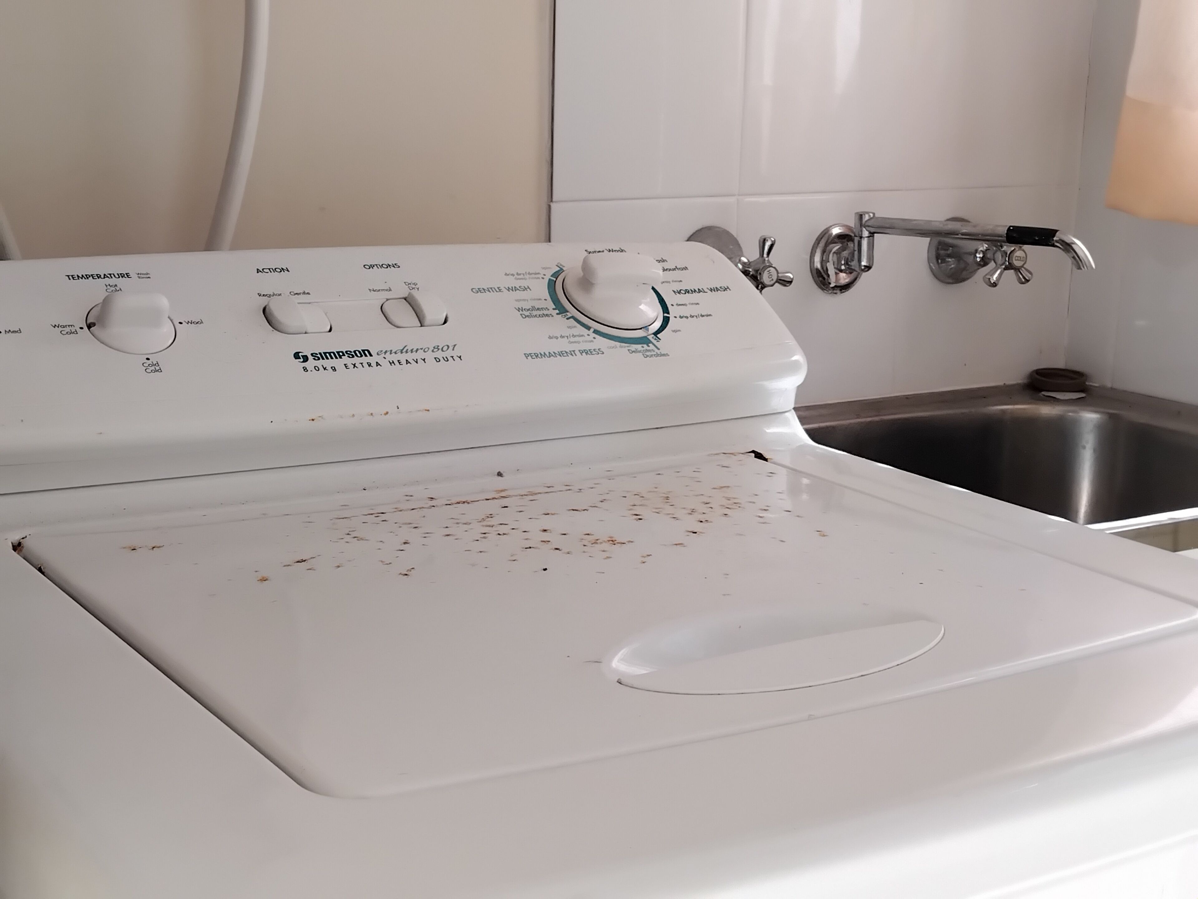 A white electric stove with control knobs labeled for temperature and action, and a stainless steel sink with a faucet.