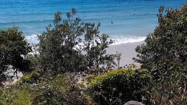 A coastal landscape with a beach, dense greenery, and a clear blue sky. - Beach House in the Ulladulla Mollymook Milton area (Ulladulla)