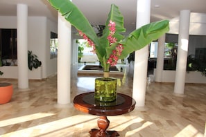 Reception - VAIA HOTELES (Coveñas)