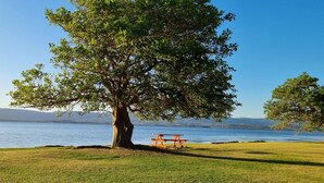 A large tree with a picnic table in a grassy area by a lake. - Sunset Lakeview. (Windang)