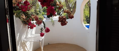 A white-walled room with a curved bench and hanging flowers.