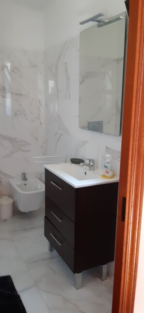 Shower, hair dryer, bidet, towels