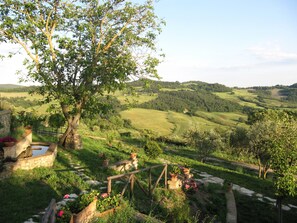 Terrain de l’hébergement 