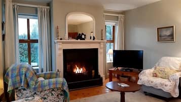 Una televisión, una chimenea, un reproductor de DVD, libros