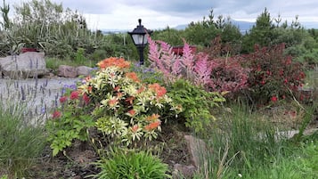 Jardines del alojamiento