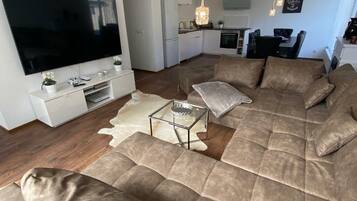 TV, fireplace, video-game console, books