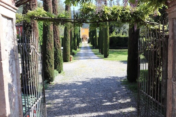 A gravel pathway flanked by tall, manicured hedges and a metal fence.