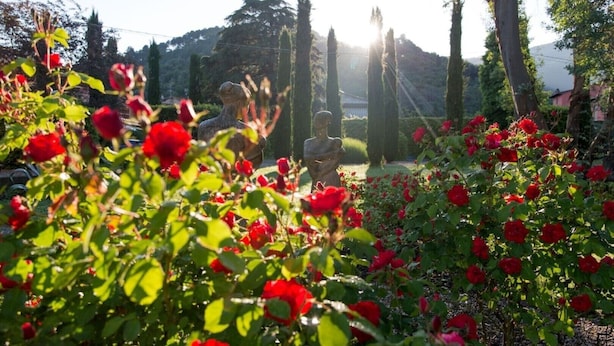 Un jardín con rosales rojos y una estatua al fondo.