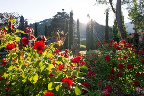Stroll through a serene garden featuring vibrant roses and a picturesque gazebo.