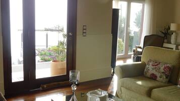 Télévision, cheminée, livres, chaßne hi-fi