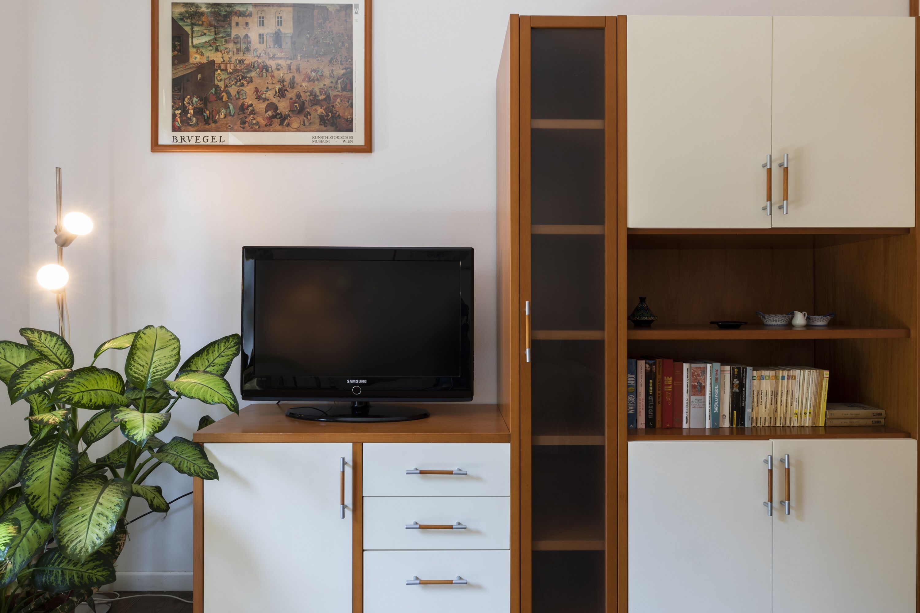 A room with a flat-screen TV on a wooden desk, a bookshelf with books, a framed picture on the wall, and a potted plant.