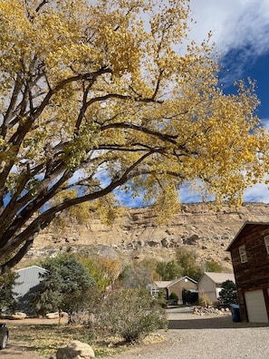 Land view from property