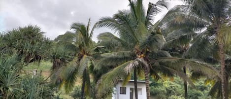 Vista frontal de la propiedad
