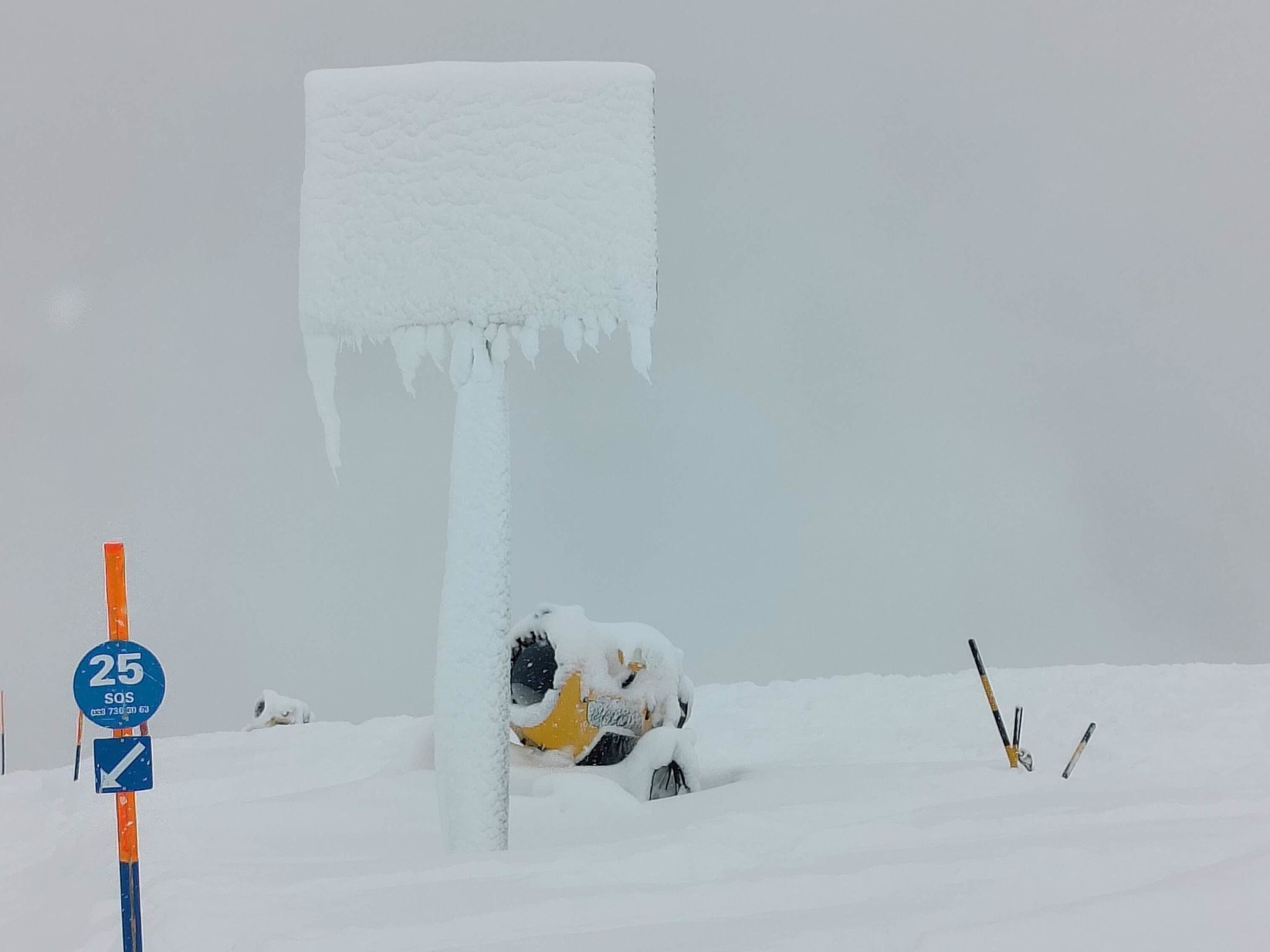 雪地及滑雪運動