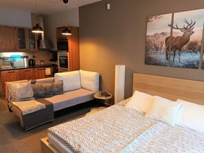 1 chambre, bureau, accès Internet