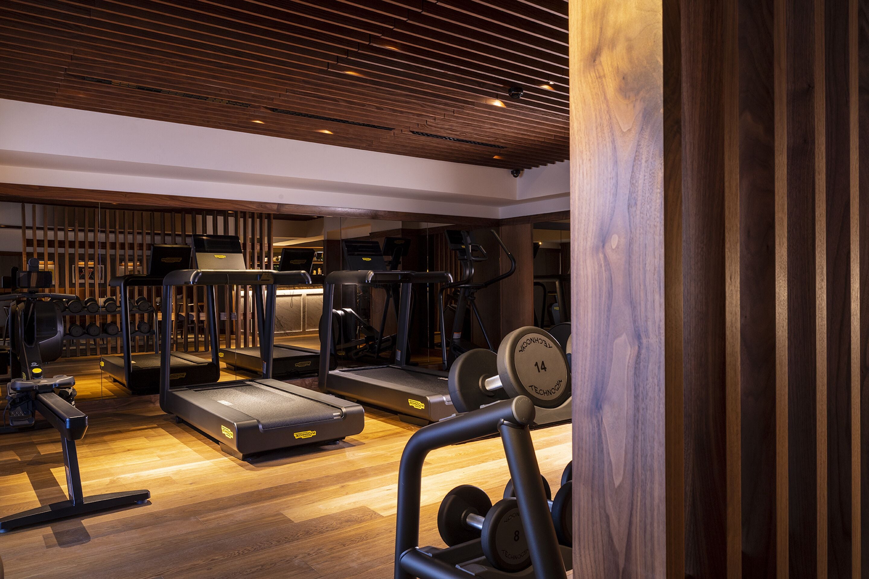 A gym with treadmills, elliptical machines, and weightlifting equipment.