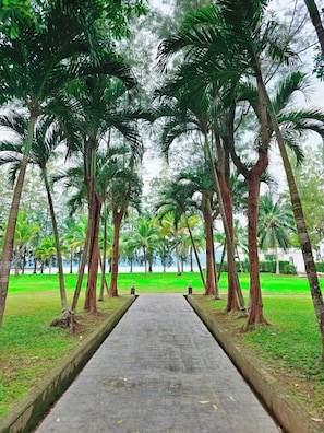 Garden - Mrs. Swan Hotel (Ranong)