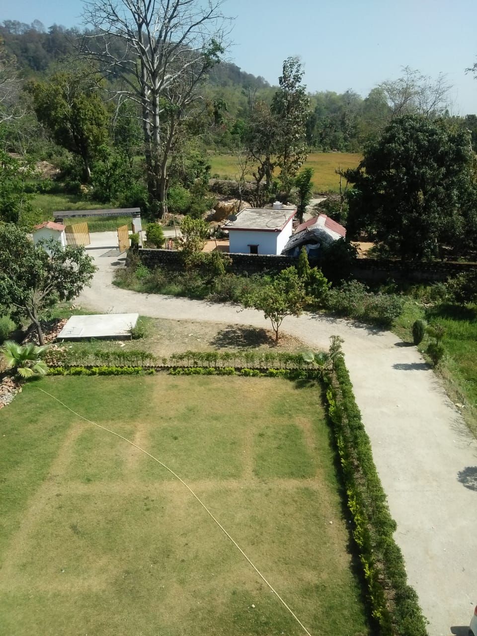 Pemandangan taman