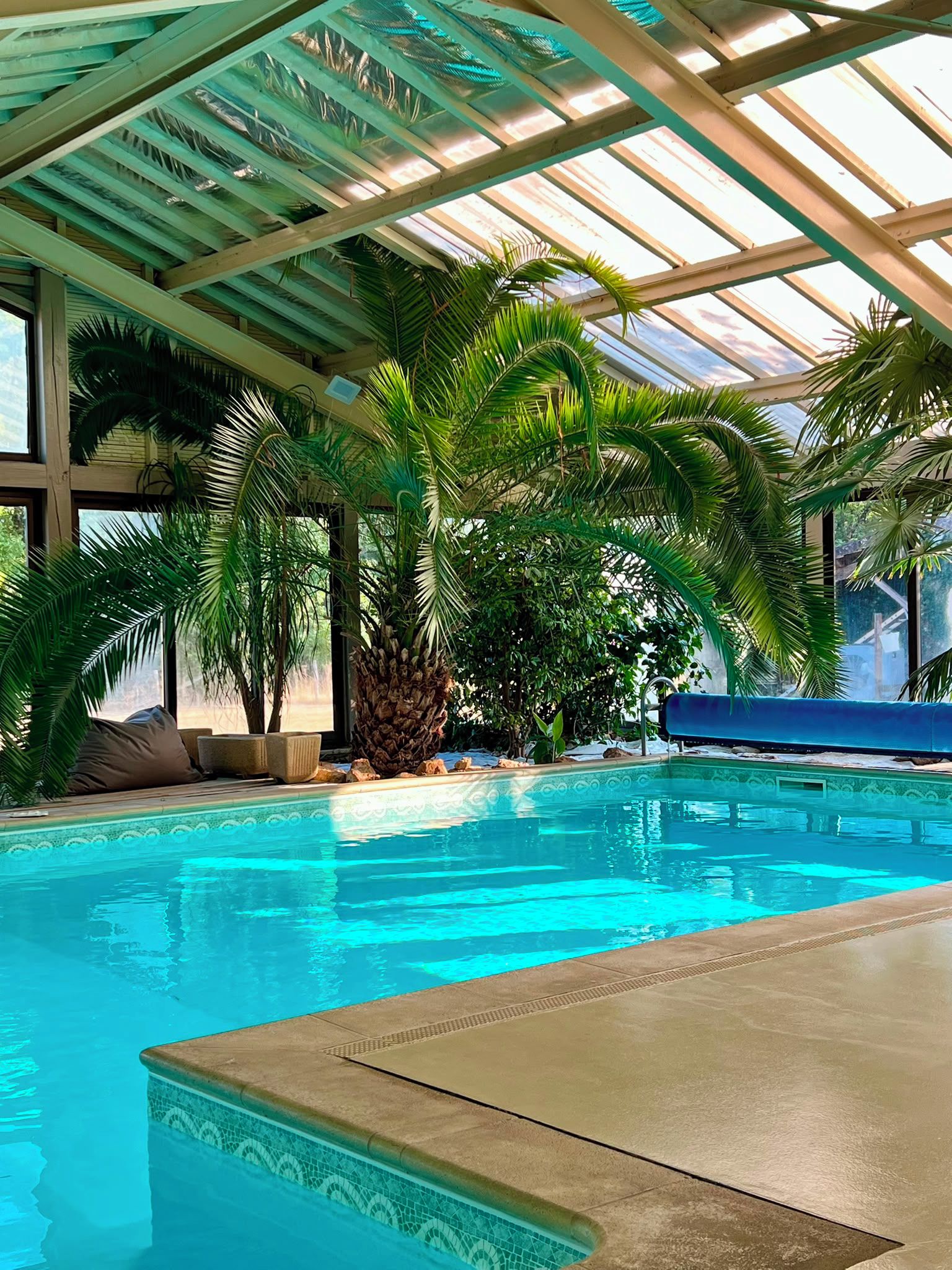 An indoor swimming pool with a glass ceiling, surrounded by palm trees and a blue lounge chair.