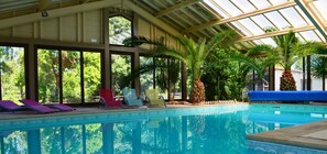 Una piscina interior con paredes de vidrio transparente, rodeada de palmeras y sillas de descanso.