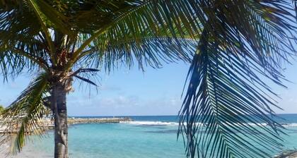 YACAYOU condo sur la plage avec vue mer panoramique et 2 piscines