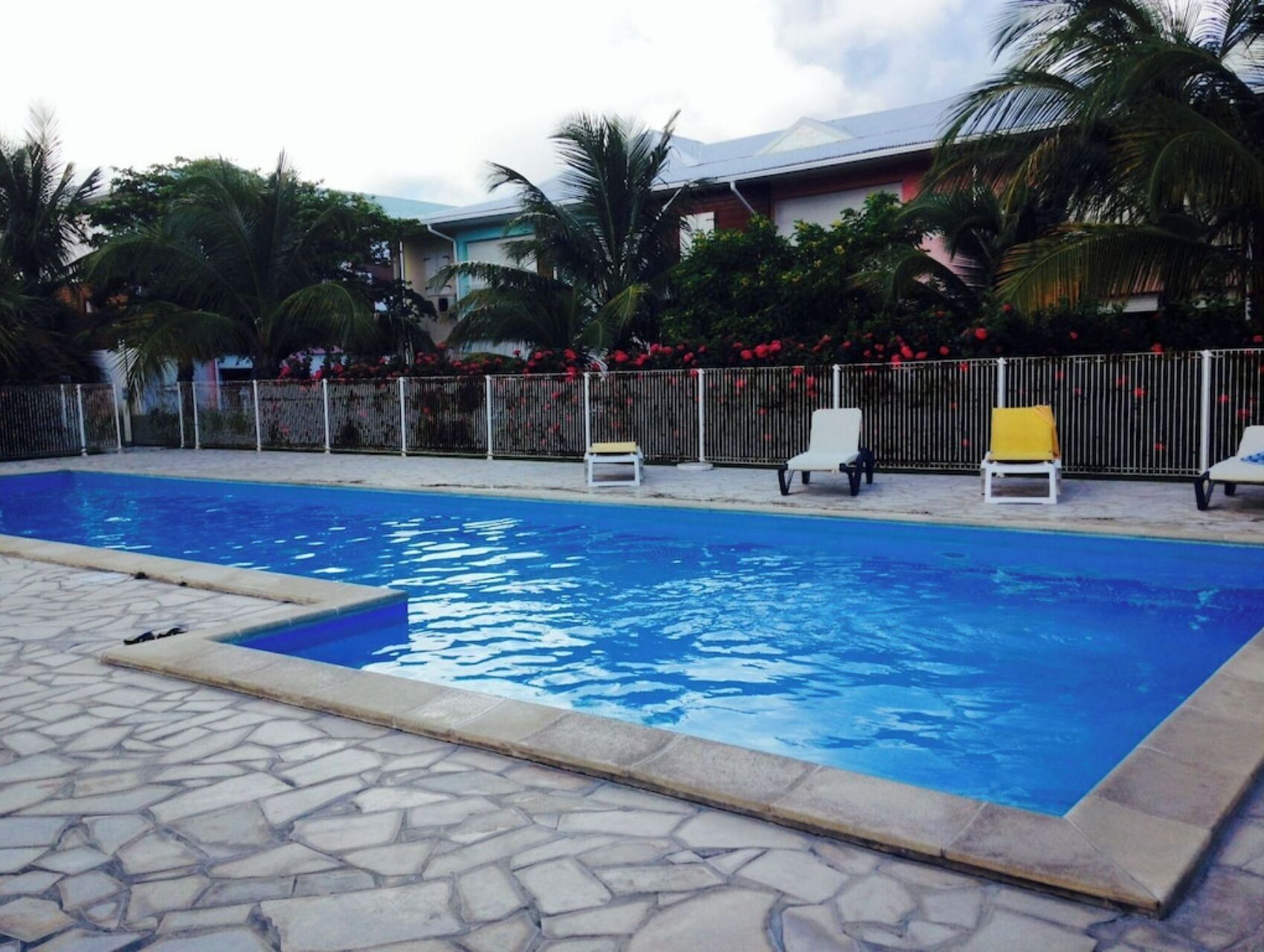 A swimming pool with lounge chairs and palm trees.